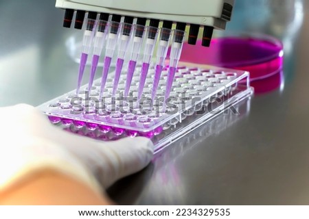 Researcher using micropipette dropping solution to microplate, for biologic tests. 96 well plate with samples for biological analysis. Scientist hand holding microplate for biomedical research. 