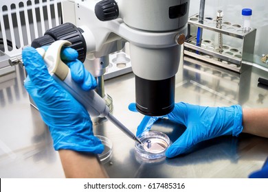 Researcher using microscope in laboratory, cancer research in modern lab. Scientific research in microbiology, medical test with pipette in clinic. Development of new drug, corona and smallpox virus 