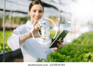 Researcher in white uniform are checking with ph strips in hydroponic farm and pH level scale graphic, science laboratory greenhouse concept. with VR icon

 - Powered by Shutterstock