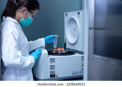 Researcher woman using the centrifuge machine to separate between precipitate from the sample solution with 100 ml centrifuge tubes.