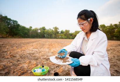 Researchers are checking the soil and collecting soil samples for planting