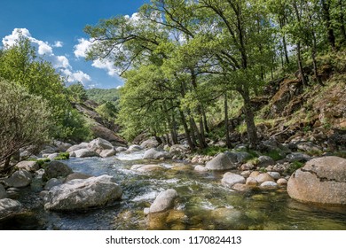 Reserva Natural Garganta de los Infiernos, Spain. River with rocks and green trees