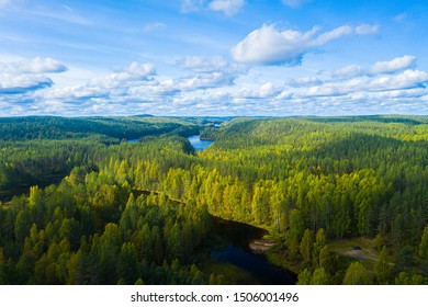 The reserved forests of Karelia in the area of Medvezhyegorsk city. Bird's-eye photography
