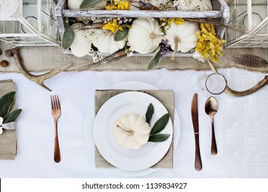Reserved Thanksgiving or Halloween place setting at a farmhouse table set with mini white pumpkins, Lamb's Ears leaves,  antlers and wildflowers for autumn. - Powered by Shutterstock