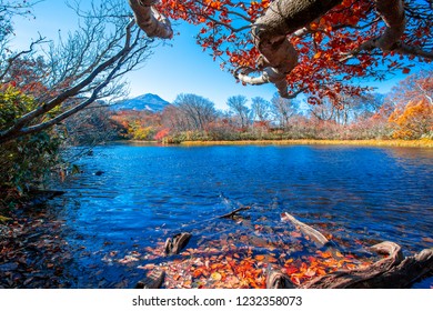 Reservoir near the mountain filled with leaves change color. In the fall leaves With blue skies and white clouds In Akita Japan.fall Leaves color change. - Shutterstock ID 1232358073
