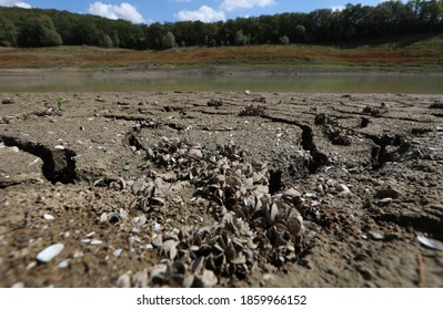 A Reservoir That Has Become Shallow Due To Drought In The Village Of Partizanskoye (Crimea, Crimean Peninsula).