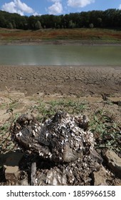 A Reservoir That Has Become Shallow Due To Drought In The Village Of Partizanskoye (Crimea, Crimean Peninsula).