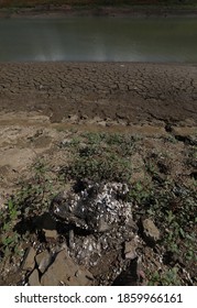 A Reservoir That Has Become Shallow Due To Drought In The Village Of Partizanskoye (Crimea, Crimean Peninsula).