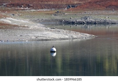 A Reservoir That Has Become Shallow Due To Drought In The Village Of Partizanskoye (Crimea, Crimean Peninsula).