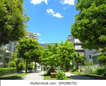 Residential area in Tokyo suburb, Japan. Under the blue sky.