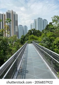 Residential Blocks, Tropical Rainforest, Tree Top Walk, Southern Ridges, Singapore