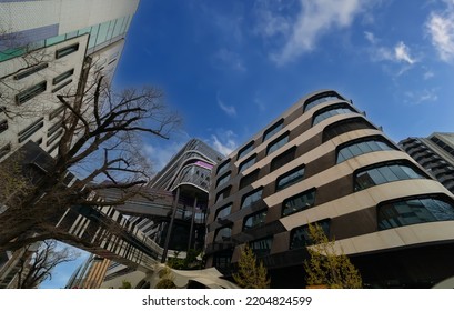 Residential And Commerical High Rise Apartment Building In Inner Melbourne Suburb VIC Australia. Residential And Commercial Building Complex In Leafy Suburbia. Urban Living High Density Suburban City 