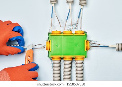 Residential Electrical Services, Installation Of Plastic Junction Box Or Electrical Box. Connecting Conduit To Electrical Box. Electric Installation Work.