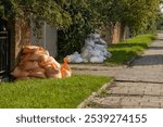 Residential flood protection with sandbags lining a sidewalk to prevent water damage during flood season. Emergency preparedness, home protection and flood defense solutions