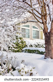 Residential House Window On Bright Winter Day