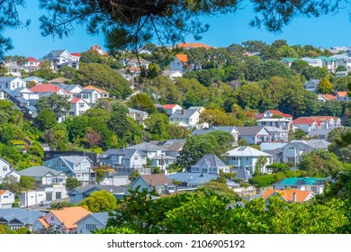 Residential Houses In Wellington, New Zealand