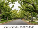 residential neighborhood of beverly hills in los angeles