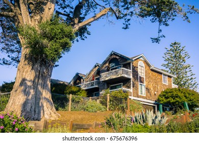 Residential Neighborhood, Santa Cruz, California