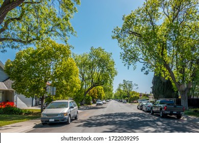 Residential Street With Houses And Trees In California
