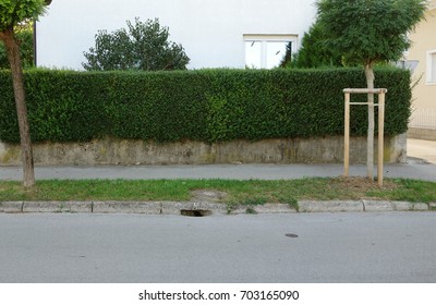 Residential Street Side View