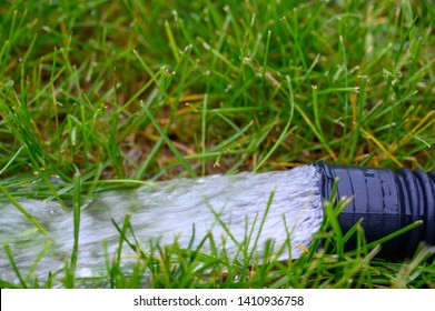 Residential Sump Pump Discharging Water From The End Of A Flexible Black Hose