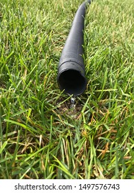 Residential Sump Pump Discharging Water From The End Of A Long Flexible Black Hose 