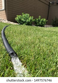 residential sump pump discharging water from the end of a flexible black hose with house visible in background