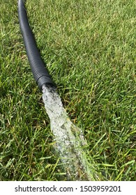 residential sump pump discharging water from the end of a long flexible black hose 