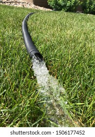 Residential Sump Pump Discharging Water From The End Of A Flexible Black Hose With House Visible In Background