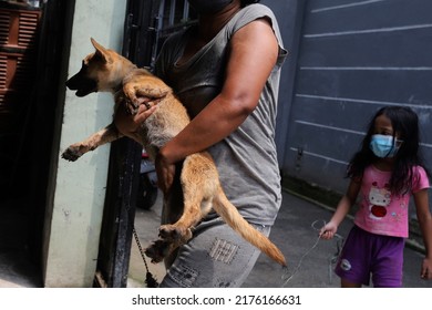 Residents Vaccinate Rabies-transmitting Animals In The Context Of World Rabies Day In Jakarta On 7 September 2021.