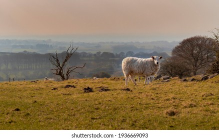 Residents Of The West Pennine Moors Hills