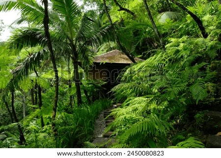 resort Bali tropical house garden hotel green lush forest jungle 