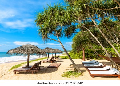 Resort Beach View, Sunbeds And Umbrellas On Tropical Ocean Coast, Sri Lanka. Scenic View Of Sea Sand Shore With Vacant Beds And Palm Trees. Idyllic Landscape In Tropics. Vacation, Hotel And Travel.