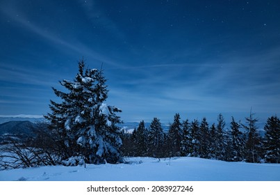 The Resort Ski Resort Illuminated At Night Is Located In A Picturesque Place Above A Clear Starry Sky. Country Vacation Concept. Place For Text