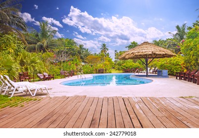 Resort Swimming Pool With Empty Plank Board 