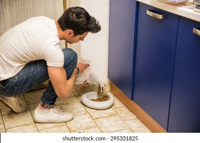 Responsible Attractive Young Man Filling Pet Bowl With Dry Food For Cat Or Dog In Kitchen