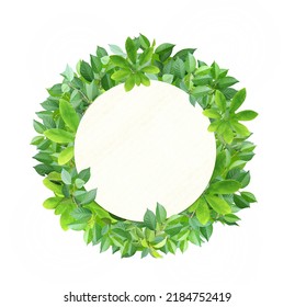 Responsible consumption. Circle made from green leaves and round label from recycled paper. Eco-friendly business. Love of nature. Ecology and zero waste concept. Isolated on white background - Shutterstock ID 2184752419