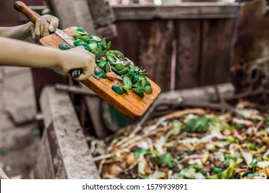 Responsible Human (man, Woman, Kid, Girl, Guy) Hands Throwing Away Veg Remains To The Compost Recycling Container.  Ecology Protection And Reduce Pollution Concept. Food Wastage As Organic Fertilizer