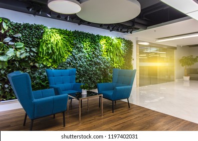 Rest area at the front desk of the modern office, comfortable sofas and green plants - Shutterstock ID 1197402031