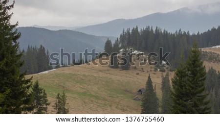 Rest in the Carpathians, Hiking in the mountains Gorgany 