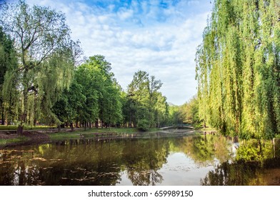 Rest on a bench under a tree