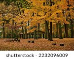 A rest or picnic area in Titusville,NJ,USA, at Washington Crossing State Park,with beautiful fall trees. At the site of George Washington