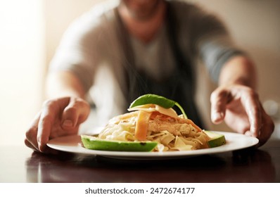 Restaurant, customer service of hands or waiter with pasta meal, offer or gourmet brunch dish. Hotel, hospitality or man server with plate presentation for catering, fast food and health or nutrition - Powered by Shutterstock