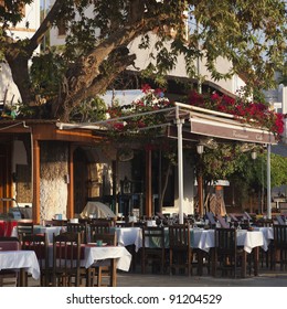 Restaurant under a tree in Kas - Kas, Antalya Province, Turkey, Asia