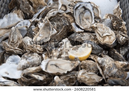 Restaurant waste -  empty oyster shells and a squeezed lemon. The smell attracts flys.