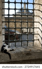 Resting cat behind window grid in Istanbul with mosque dome and passing vehicle in the background
