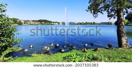 Resting ducks by city lake with water fountain in Denmark