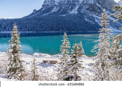 Resting Spot Along Lake Louise In Winter