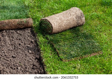 Restoration of a lawn covering with the help of a rolled lawn. Real grass in peat rolls. Quick way to improve the territory.