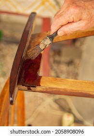 Restoration Of Old Furniture. A Man's Wrinkled Hand Of An Elderly Man With A Paint Brush Applies Varnish To The Wooden Surface Of The Chair.